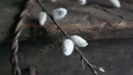 Wilgenkatjes tak namaak | 55 cm