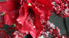 Amaryllis namaak bloem | rood