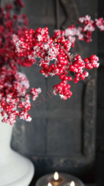 Bessen sneeuw namaak tak | rood
