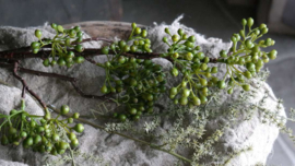 Rozenbottel/ bessen kunst tak | groen 82 cm