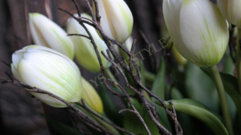 Bosje takken kunst | 47 cm