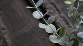 Eucalyptus boom kunst | 76 cm
