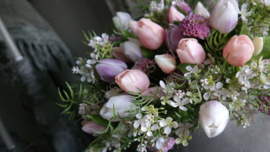 Boeket kant en klaar | Tulpen lila XXL