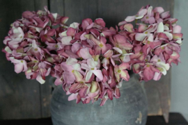 Hortensia zijden bloem | roze