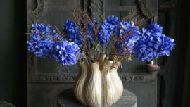 Tulpenvaas goud | 21 cm