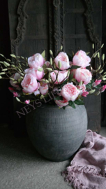 Bosje Pioenrozen | roze