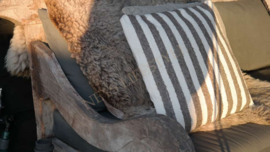 Kussen Stijn stripe | taupe