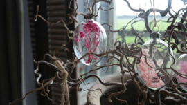 Hanging eggs glass 4 st | pink /purple S