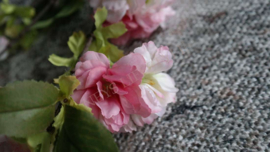 Kersen Bloesem tak zijden | roze/groen