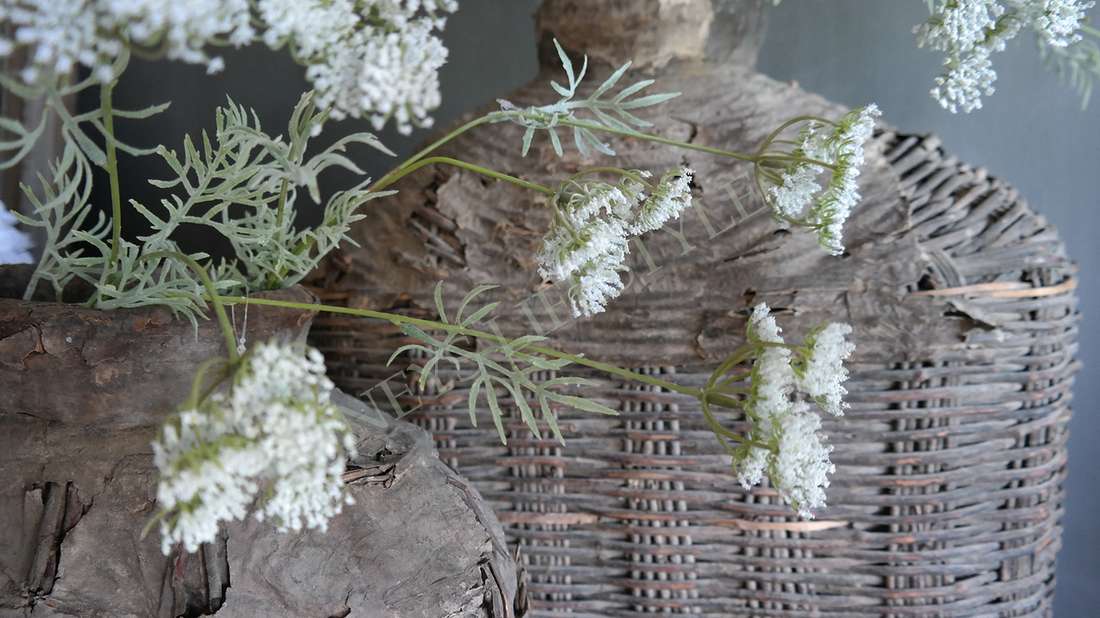 Wildwortel /fluitekruid kunst bloem | wit S