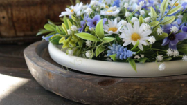 Krans zijden margrietjes mix | 30 cm