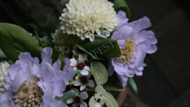 Scabiosa tak zijden | paars