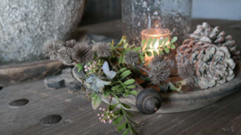 Toef Eryngium | incl spindel