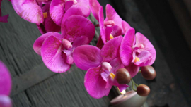 Orchidee kunst tak paars l 106 cm