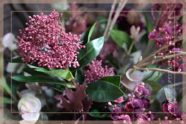 Skimmia kunst tak  | rood