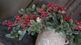 Bessen/ilex tak kunst | rood