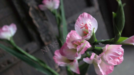 Gladiool kunst bloem | 97 cm