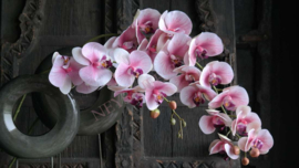 Orchidee kunst tak roze l 124 cm