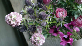 Scabosia moon bloem kunst | oud roze