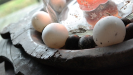Zak met 24 plastic peewit eggs |  6 cm