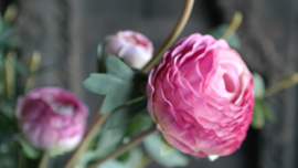 Ranonkel bosje kunst | roze
