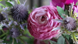 Ranonkel bosje kunst | roze