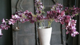 Delphinium zijden bloem | paars