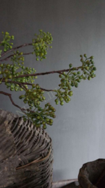 Rozenbottel/ bessen kunst tak | groen 82 cm