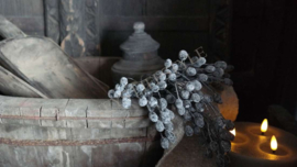 Bosje bessen old purple | namaak