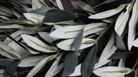 Olijfblad krans namaak | 53 cm