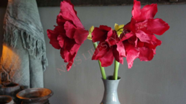 Amaryllis namaak bloem | rood
