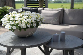 Plantenschaal Kiral | beige