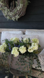 Pot opgemaakt met geraniums compleet | UV bestendig