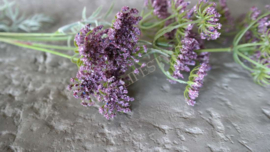 Wildwortel kunst bloem | paars