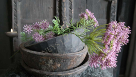 Wildwortel kunst bloem | paars