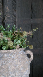 Halve decobol kunst groen | L