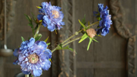 Scabosia tak blauw/paars | kunst 58 cm