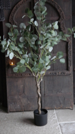 Eucalyptus boom kunst | 120 cm
