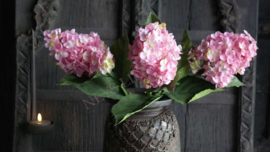 Pluim hortensia zijden | roze