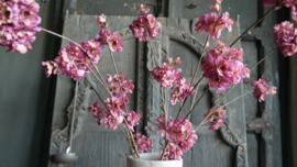 Prunus kunst bloem | paars