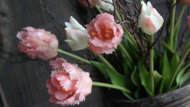 Bosje Tulp parrot roze/wit l 40 cm