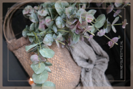 Eucalyptus kunst tak  | groen/rood