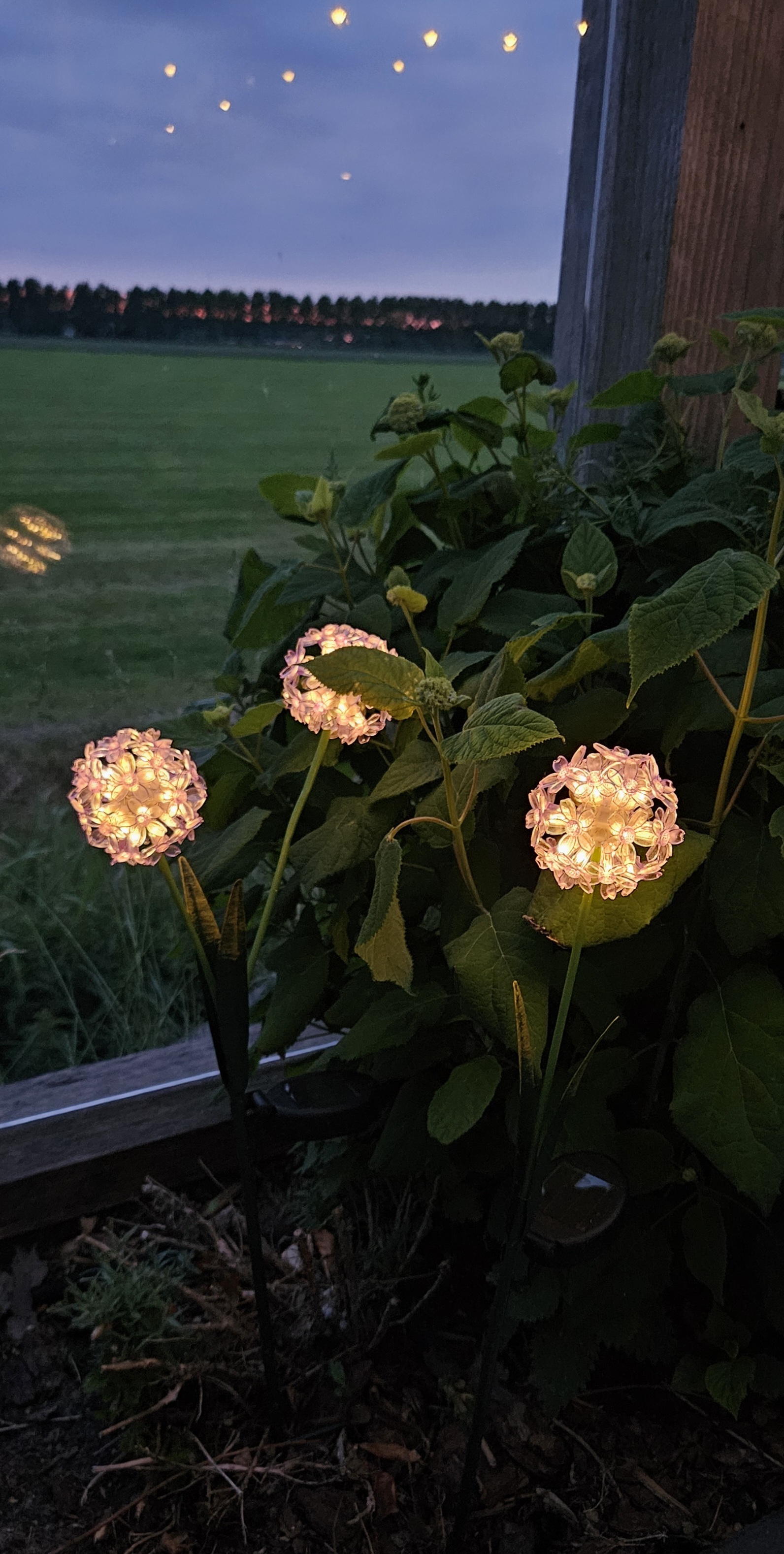 Solar Bloem op steker | paars 1 bloem