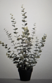 Eucalyptus boom kunst | 76 cm
