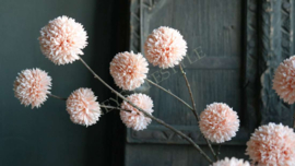 Pom pom tak kunst | zalm