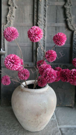 Pom pom tak kunst | paars