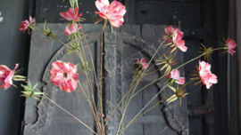 Cosmos namaak bloem | oranje/roze