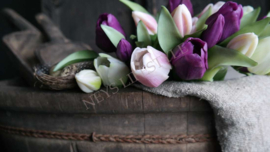 Olijfbak ovaal | old wood