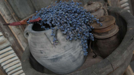 Olijfbak | antique wood