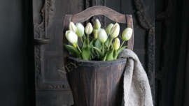 Tulp in pot | wit-groen 24 cm